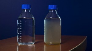 Сточные воды до и после очистки